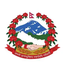 Government Client